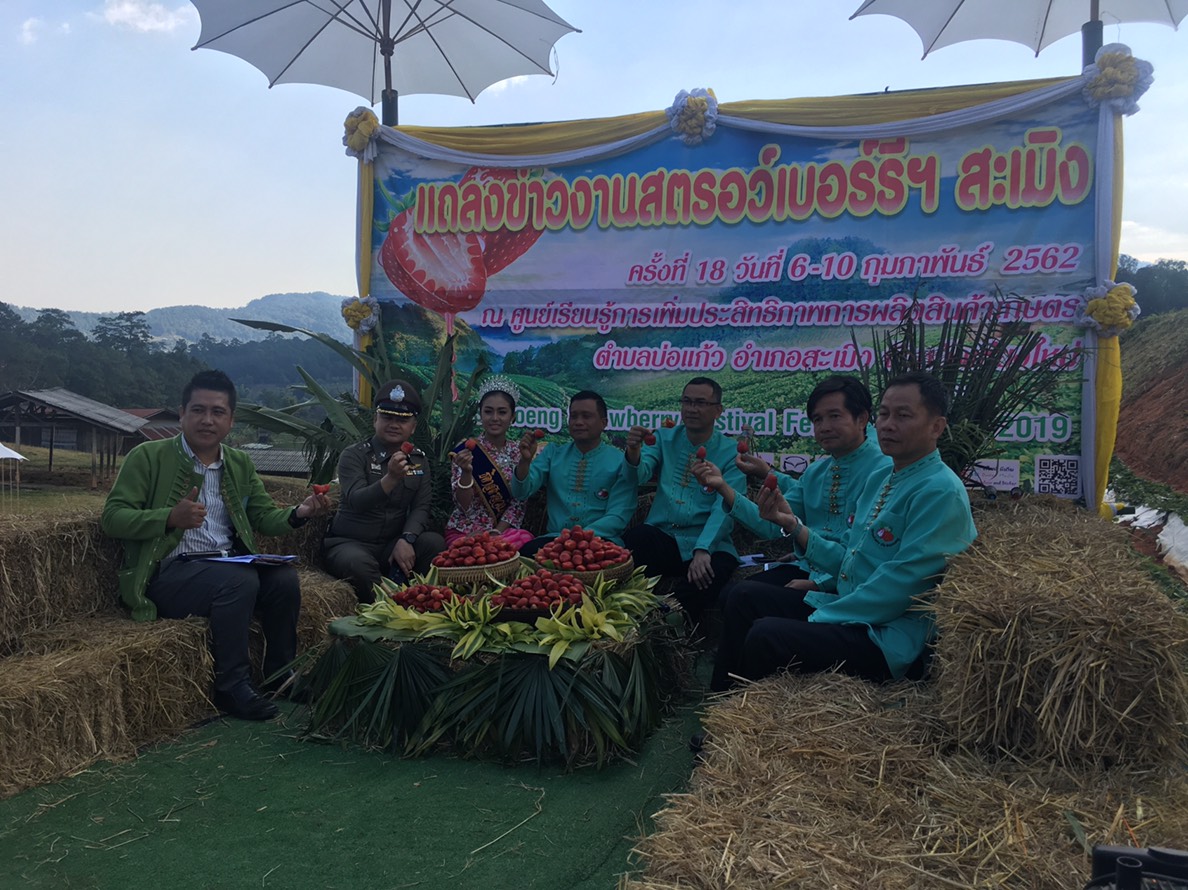 อ.สะเมิง เตรียมจัดงานใหญ่ สตรอเบอรี่ของดีสะเมิง 6-10 ก.พ.นี้ อ.สะเมิง เตรียมจัดงานใหญ่ สตรอเบอรี่ของดีสะเมิง 6-10 ก.พ.นี้