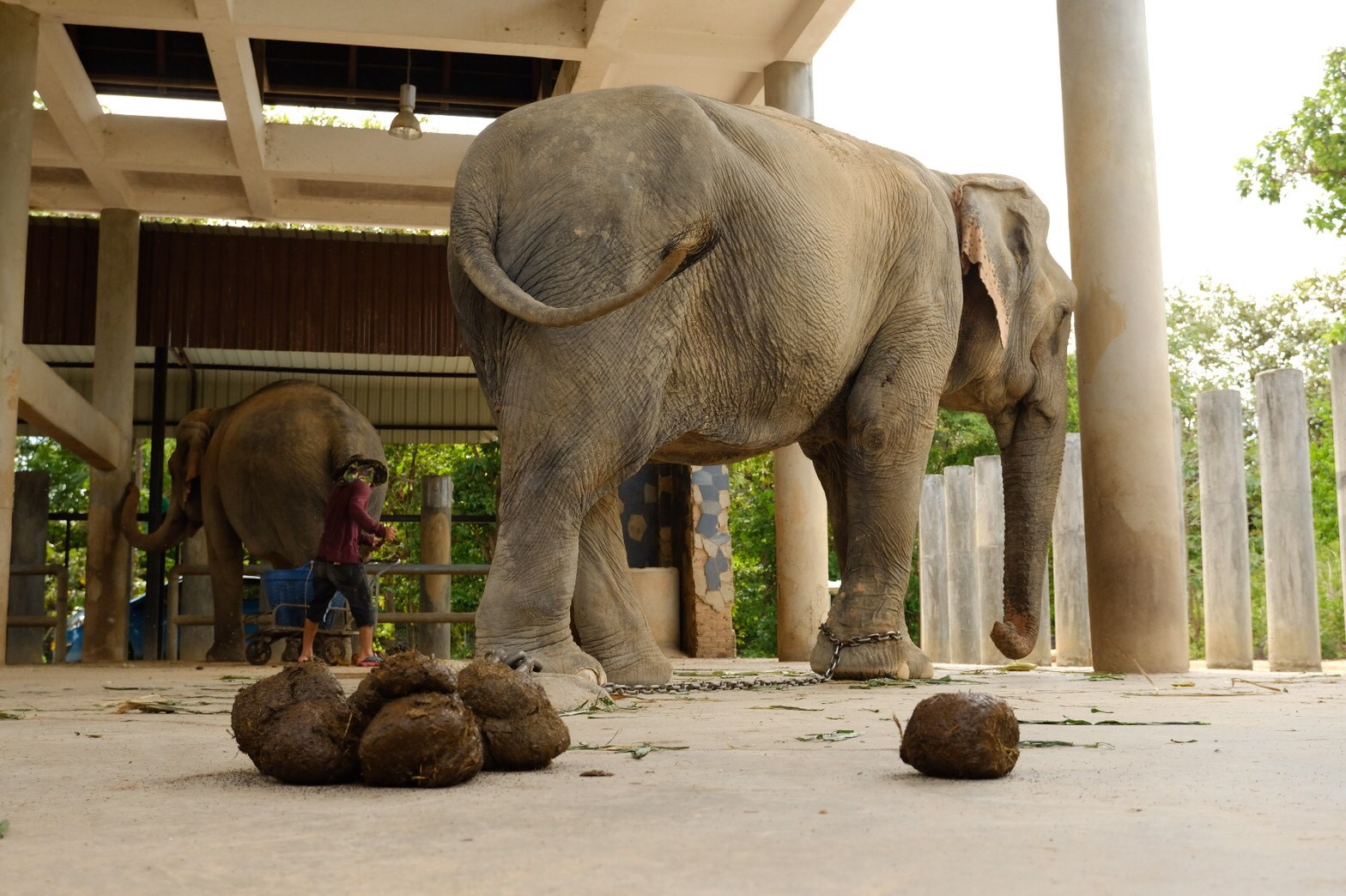 เชียงใหม่ไนท์ซาฟารีจัดประกวดออกแบบของที่ระลึกจากวัสดุธรรมชาติ ชิงรางวัลมูลค่ากว่า 116,000 บาท เชียงใหม่ไนท์ซาฟารีจัดประกวดออกแบบของที่ระลึกจากวัสดุธรรมชาติ ชิงรางวัลมูลค่ากว่า 116,000 บาท