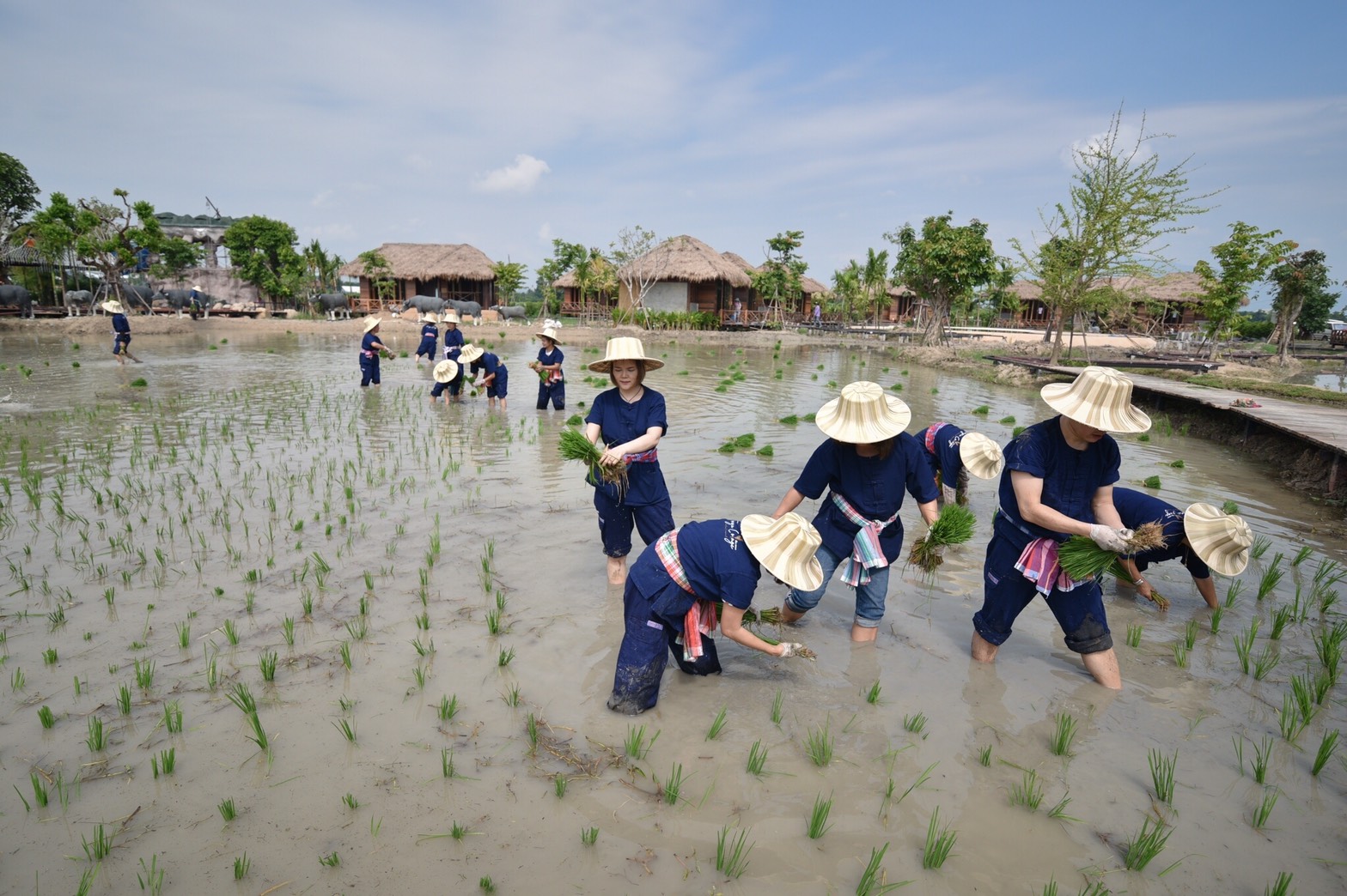 นักธุรกิจเชียงใหม่เปลี่ยนแนวสู้ภาวะเศรษฐกิจซบเซา เปลี่ยนที่นาย่านเศรษฐกิจบ้านถวาย เปิดเป็น รีสอร์ท-ร้านกาแฟกลางทุ่งนา หวังเป็น แลนด์มาร์คท่องเที่ยวแห่งใหม่ของจังหวัดเชียงใหม่ ดีเกินคาดกระแสตอบรับทำที่ดินราคาพุ่ง เศรษฐกิจชุมชนตื่นตาม นักธุรกิจเชียงใหม่เปลี่ยนแนวสู้ภาวะเศรษฐกิจซบเซา เปลี่ยนที่นาย่านเศรษฐกิจบ้านถวาย เปิดเป็น รีสอร์ท-ร้านกาแฟกลางทุ่งนา หวังเป็น แลนด์มาร์คท่องเที่ยวแห่งใหม่ของจังหวัดเชียงใหม่ ดีเกินคาดกระแสตอบรับทำที่ดินราคาพุ่ง เศรษฐกิจชุมชนตื่นตาม