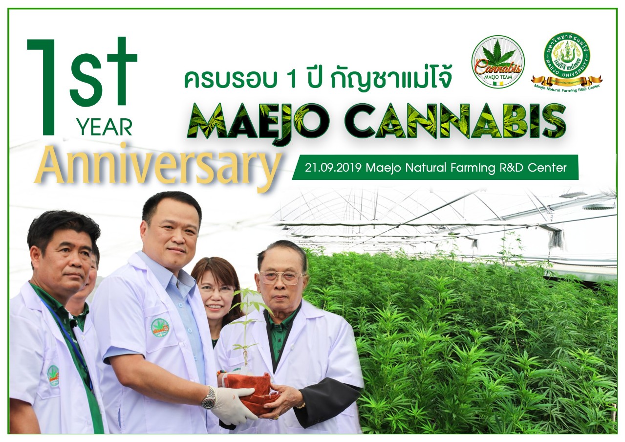 ครบรอบ 1 ปี โครงการปลูกและเก็บเกี่ยวกัญชาเพื่อทางการแพทย์ ม. แม่โจ้เริ่มส่งมอบกัญชาแห้งและพัฒนาการปลูกต่อเนื่อง ครบรอบ 1 ปี โครงการปลูกและเก็บเกี่ยวกัญชาเพื่อทางการแพทย์ ม. แม่โจ้เริ่มส่งมอบกัญชาแห้งและพัฒนาการปลูกต่อเนื่อง