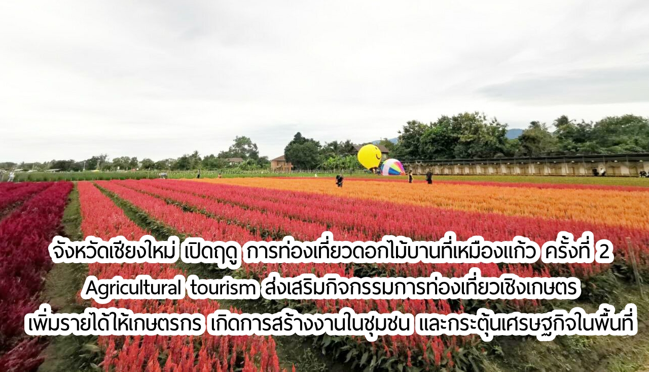 จังหวัดเชียงใหม่ เปิดฤดู การท่องเที่ยวดอกไม้บานที่เหมืองแก้ว ครั้งที่ 2 Agricultural tourism ส่งเสริมกิจกรรมการท่องเที่ยวเชิงเกษตร เพิ่มรายได้ให้เกษตรกร เกิดการสร้างงานในชุมชน และกระตุ้นเศรษฐกิจในพื้นที่ 