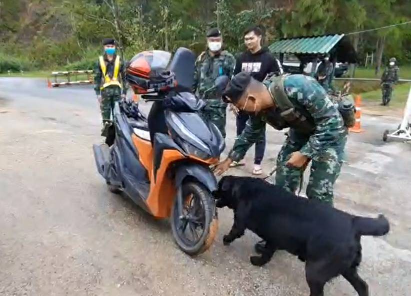 กองกำลังผาเมือง นำสุนัขทหาร 23 ตัว ช่วยตรวจหายาเสพติดตามจุดตรวจในพื้นที่จังหวัดเชียงใหม่และจังหวัดเชียงราย หวังสกัดกั้นการลักลอบค้ายาเสพติดในพื้นที่ตอนใน ทำผลงานดีสุดเยี่ยม กองกำลังผาเมือง นำสุนัขทหาร 23 ตัว ช่วยตรวจหายาเสพติดตามจุดตรวจในพื้นที่จังหวัดเชียงใหม่และจังหวัดเชียงราย หวังสกัดกั้นการลักลอบค้ายาเสพติดในพื้นที่ตอนใน ทำผลงานดีสุดเยี่ยม