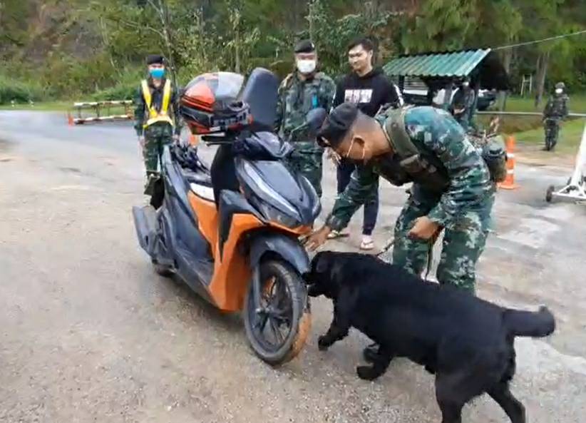 กองกำลังผาเมือง นำสุนัขทหาร 23 ตัว  ช่วยตรวจหายาเสพติดตามจุดตรวจในพื้นที่จังหวัดเชียงใหม่และจังหวัดเชียงราย หวังสกัดกั้นการลักลอบค้ายาเสพติดในพื้นที่ตอนใน​ ทำผลงานดีสุดเยี่ยม