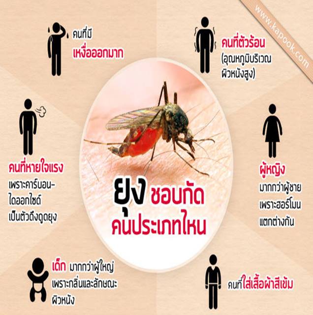 สำนักงานป้องกันควบคุมโรคที่ 1 เชียงใหม่ เตือนประชาชนเฝ้าระวังโรคไข้เลือดออก ในช่วงฤดูฝน แนะปฏิบัติตามมาตรการ 3 เก็บ ลดแหล่งเพาะพันธุ์ยุง เพื่อป้องกัน 3 โรคย้ำผู้ป่วยกลุ่มเสี่ยงหากมีอาการไข้สูง หลีกเลี่ยงการซื้อยารับประทานเอง และห้ามใช้ยากลุ่ม NSAID เพราะอ สำนักงานป้องกันควบคุมโรคที่ 1 เชียงใหม่ เตือนประชาชนเฝ้าระวังโรคไข้เลือดออก ในช่วงฤดูฝน แนะปฏิบัติตามมาตรการ 3 เก็บ ลดแหล่งเพาะพันธุ์ยุง เพื่อป้องกัน 3 โรคย้ำผู้ป่วยกลุ่มเสี่ยงหากมีอาการไข้สูง หลีกเลี่ยงการซื้อยารับประทานเอง และห้ามใช้ยากลุ่ม NSAID เพราะอ