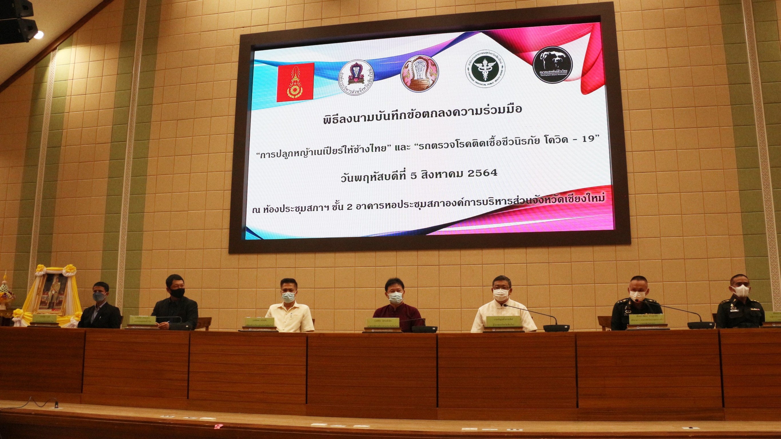 เชียงใหม่ เตรียมปลูกหญ้าเนเปียร์ช่วยช้างในพื้นที่จากวิกฤติโควิด-19 เชียงใหม่ เตรียมปลูกหญ้าเนเปียร์ช่วยช้างในพื้นที่จากวิกฤติโควิด-19