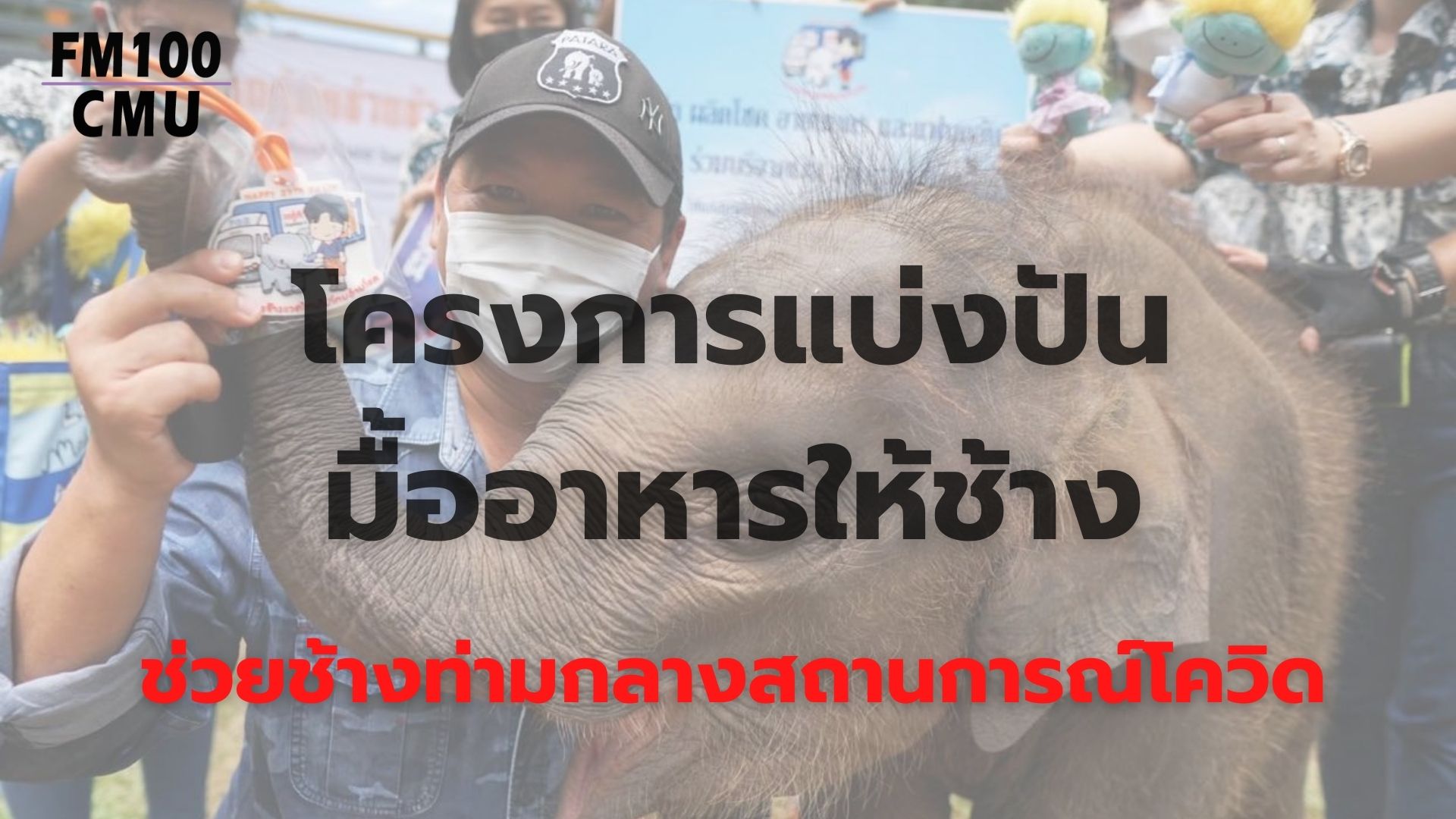 สมาคมสหพันธ์ช้างไทยผนึกกำลังทหาร องค์กรปกครองท้องถิ่น และภาคเอกชน จัดทำแปลงหญ้าอาหารช้างช่วยเหลือช้างในพื้นที่เชียงใหม่และทั่วประเทศ