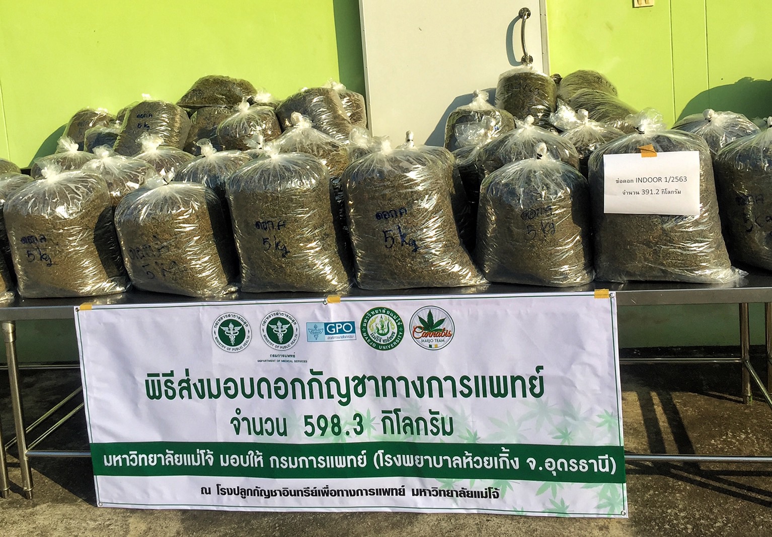 มหาวิทยาลัยแม่โจ้ ส่งมอบกัญชาทางการแพทย์ 598.3 ก.ก.ให้โรงพยาบาลห้วยเกิ้ง อุดรธานี มหาวิทยาลัยแม่โจ้ ส่งมอบกัญชาทางการแพทย์ 598.3 ก.ก.ให้โรงพยาบาลห้วยเกิ้ง อุดรธานี