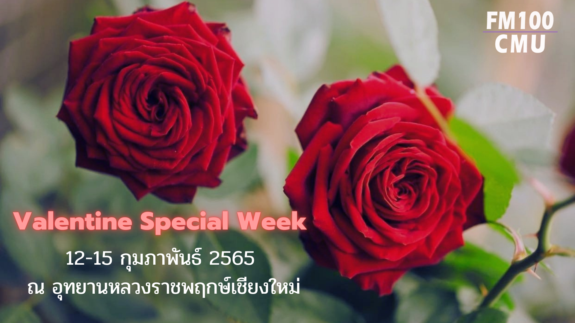 อุทยานหลวงราชพฤกษ์เชียงใหม่ จัดกิจกรรม Valentine Special Week ระหว่างวันที่ 12-15 กุมภาพันธ์ 2565 อุทยานหลวงราชพฤกษ์เชียงใหม่ จัดกิจกรรม Valentine Special Week ระหว่างวันที่ 12-15 กุมภาพันธ์ 2565