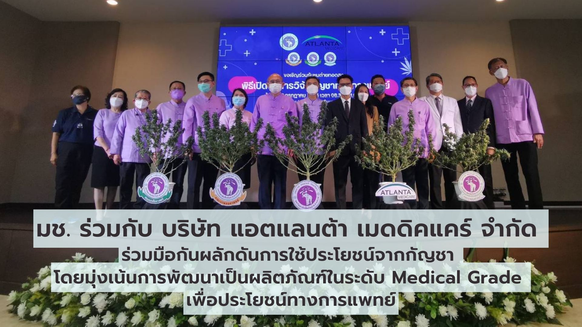 มหาวิทยาลัยเชียงใหม่ ร่วมกับ บริษัท แอตแลนต้า เมดดิคแคร์ จำกัด ร่วมมือกันผลักดันการใช้ประโยชน์จากกัญชา โดยมุ่งเน้นการพัฒนาเป็นผลิตภัณฑ์ในระดับ Medical Grade เพื่อประโยชน์ทางการแพทย์ โดยคำนึงถึงความปลอดภัยและประโยชน์สูงสุดของผู้ป่วยเป็นสำคัญ มหาวิทยาลัยเชียงใหม่ ร่วมกับ บริษัท แอตแลนต้า เมดดิคแคร์ จำกัด ร่วมมือกันผลักดันการใช้ประโยชน์จากกัญชา โดยมุ่งเน้นการพัฒนาเป็นผลิตภัณฑ์ในระดับ Medical Grade เพื่อประโยชน์ทางการแพทย์ โดยคำนึงถึงความปลอดภัยและประโยชน์สูงสุดของผู้ป่วยเป็นสำคัญ