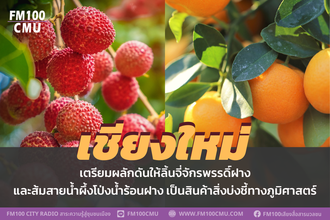 เชียงใหม่ เตรียมผลักดันให้ลิ้นจี่จักรพรรดิ์ฝาง และส้มสายน้ำผึ้งโป่งน้ำร้อนฝาง เป็นสินค้าสิ่งบ่งชี้ทางภูมิศาสตร์ เชียงใหม่ เตรียมผลักดันให้ลิ้นจี่จักรพรรดิ์ฝาง และส้มสายน้ำผึ้งโป่งน้ำร้อนฝาง เป็นสินค้าสิ่งบ่งชี้ทางภูมิศาสตร์