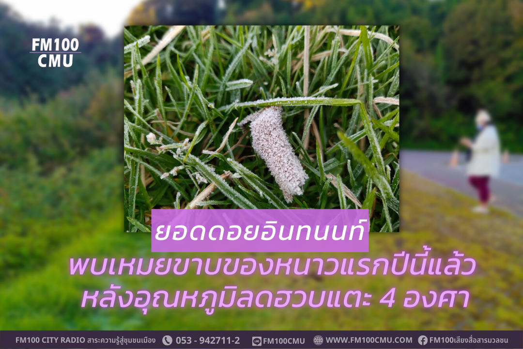 ยอดดอยอินทนนท์พบเหมยขาบของหนาวแรกปีนี้แล้ว หลังอุณหภูมิลดฮวบแตะ 4องศา ยอดดอยอินทนนท์พบเหมยขาบของหนาวแรกปีนี้แล้ว หลังอุณหภูมิลดฮวบแตะ 4องศา