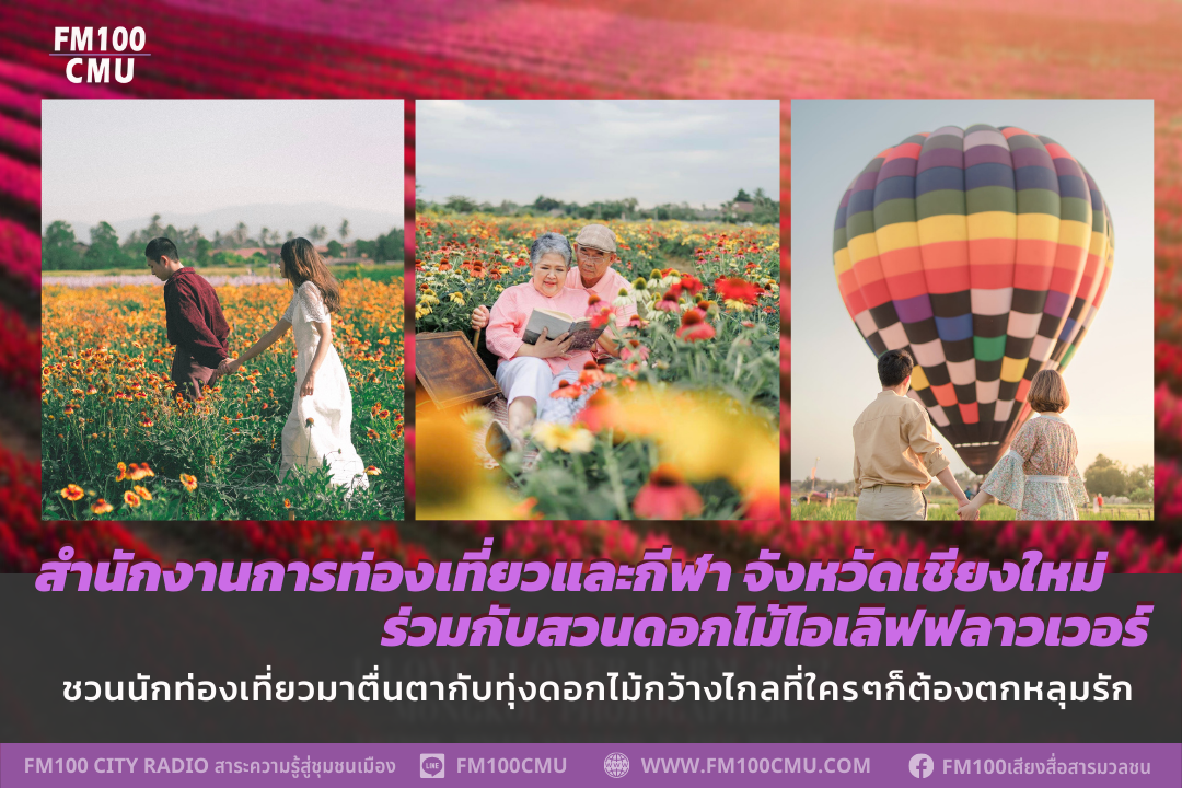 สำนักงานการท่องเที่ยวและกีฬา จังหวัดเชียงใหม่ ร่วมกับสวนดอกไม้ไอเลิฟฟลาวเวอร์ ชวนนักท่องเที่ยวมาตื่นตากับทุ่งดอกไม้กว้างไกลที่ใครๆก็ต้องตกหลุมรัก สำนักงานการท่องเที่ยวและกีฬา จังหวัดเชียงใหม่ ร่วมกับสวนดอกไม้ไอเลิฟฟลาวเวอร์ ชวนนักท่องเที่ยวมาตื่นตากับทุ่งดอกไม้กว้างไกลที่ใครๆก็ต้องตกหลุมรัก