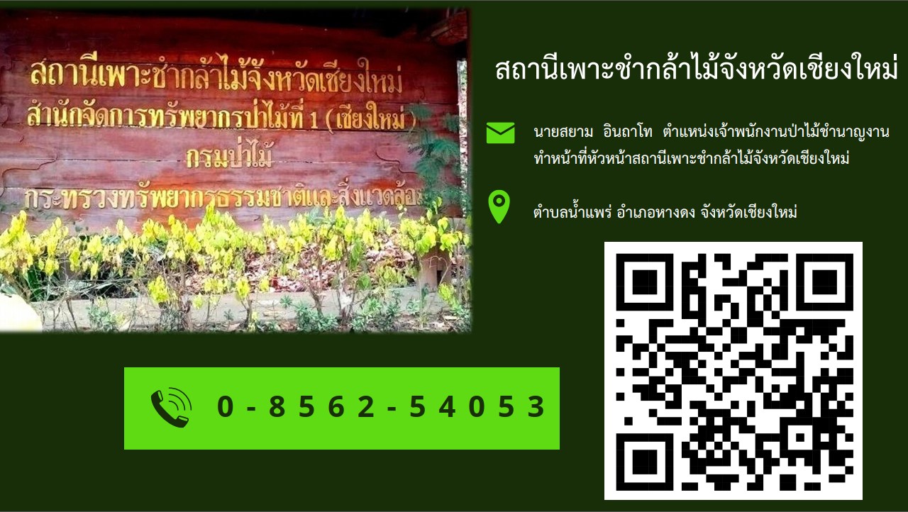 เชียงใหม่ เร่งขับเคลื่อน “โครงการชุมชนไม้มีค่า”ผลักดันไม้เศรษฐกิจให้ใช้เป็นหลักประกันทางธุรกิจได้ เชียงใหม่ เร่งขับเคลื่อน “โครงการชุมชนไม้มีค่า”ผลักดันไม้เศรษฐกิจให้ใช้เป็นหลักประกันทางธุรกิจได้