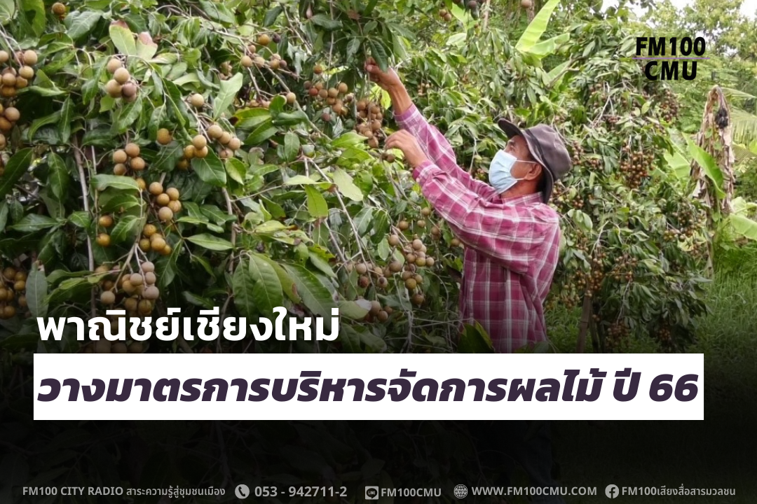 สำนักงานพาณิชย์จังหวัดเชียงใหม่ วางมาตรการบริหารจัดการผลไม้ ปี 66 ด้านผู้ว่าราชการจังหวัดเชียงใหม่ สั่งดูแลเชิงรุก หาตลาดและช่องทางกระจายสินค้า หวังให้เกษตรกรขายผลผลิตได้ในราคาสูง ไม่ถูกกดราคา สำนักงานพาณิชย์จังหวัดเชียงใหม่ วางมาตรการบริหารจัดการผลไม้ ปี 66 ด้านผู้ว่าราชการจังหวัดเชียงใหม่ สั่งดูแลเชิงรุก หาตลาดและช่องทางกระจายสินค้า หวังให้เกษตรกรขายผลผลิตได้ในราคาสูง ไม่ถูกกดราคา