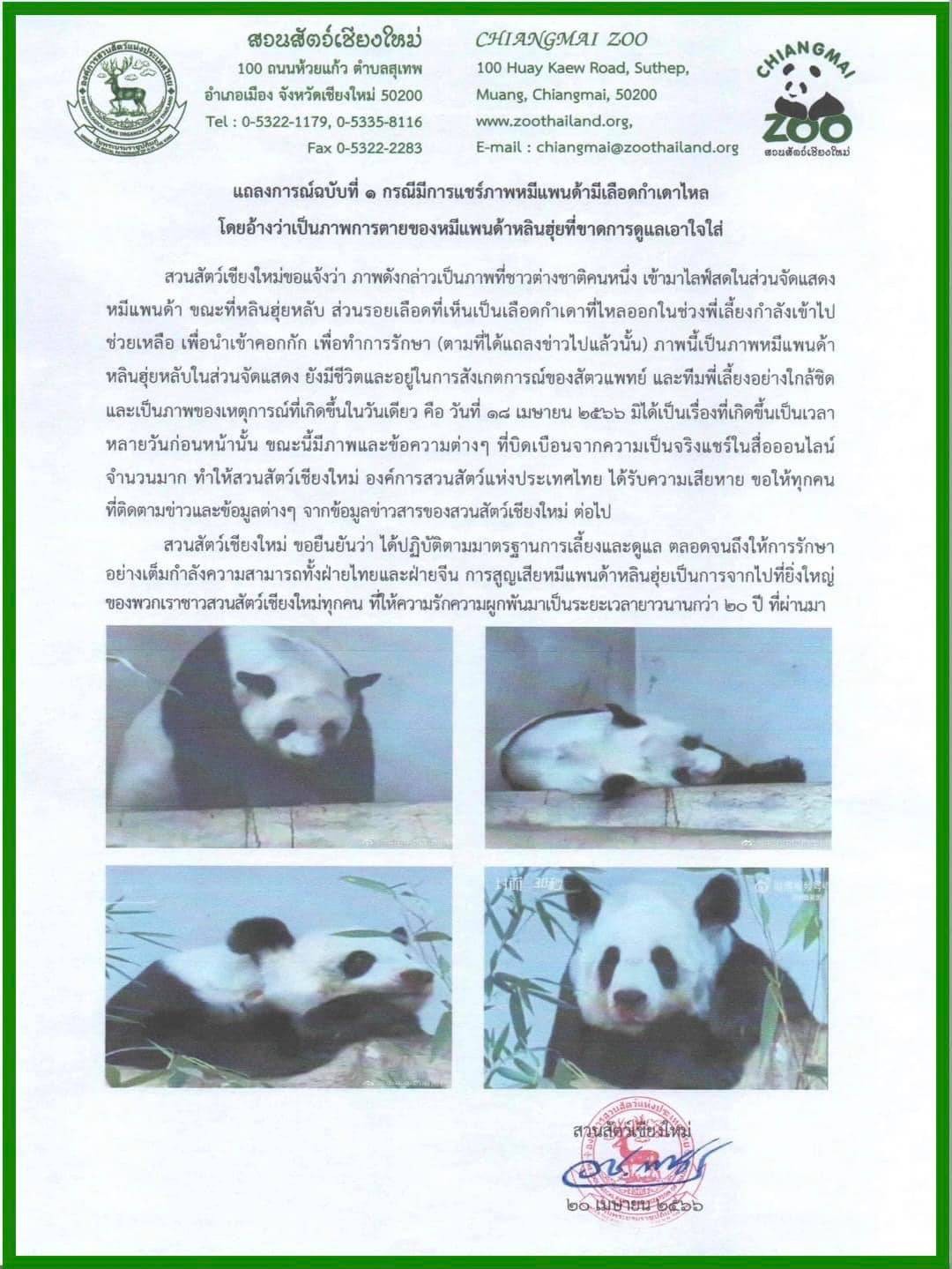 สวนสัตว์เชียงใหม่ ออกแถลงการณ์ชี้แจงภาพ ‘หลินฮุ่ย’ เลือดไหล ยืนยัน ปฏิบัติตามมาตรฐานการเลี้ยงและดูแล พร้อมเปิดให้แฟนคลับแพนด้าหลินฮุ่ย วางดอกไม้อาลัยได้บริเวณรูปปั้นด้านหน้าส่วนจัดแสดง สวนสัตว์เชียงใหม่ ออกแถลงการณ์ชี้แจงภาพ ‘หลินฮุ่ย’ เลือดไหล ยืนยัน ปฏิบัติตามมาตรฐานการเลี้ยงและดูแล พร้อมเปิดให้แฟนคลับแพนด้าหลินฮุ่ย วางดอกไม้อาลัยได้บริเวณรูปปั้นด้านหน้าส่วนจัดแสดง
