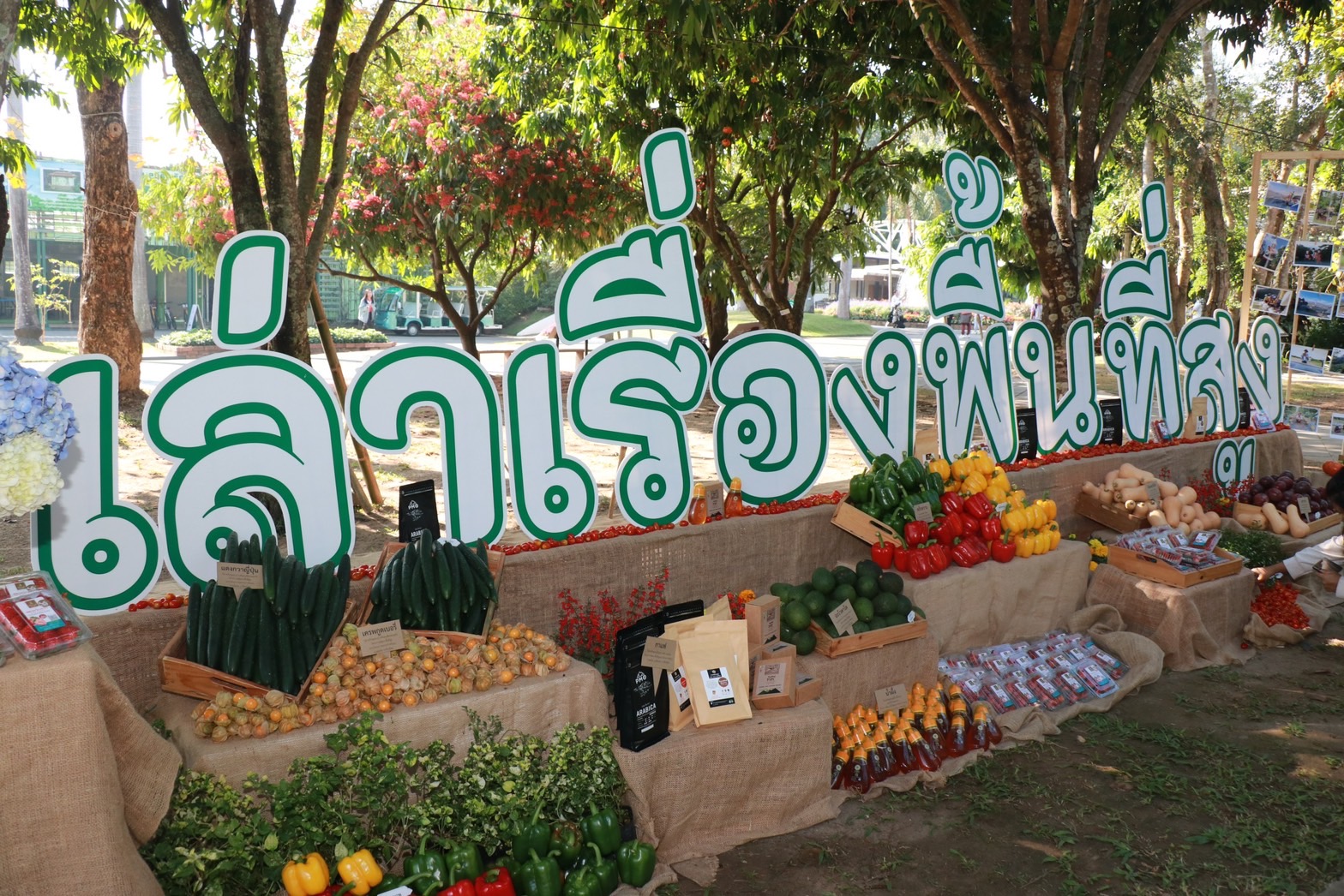 สวพส. มุ่งมั่นขับเคลื่อนแก้ปัญหาบนพื้นที่สูง เน้นแก้ปัญหาความยากจน ลดปัญหาสิ่งแวดล้อม สวพส. มุ่งมั่นขับเคลื่อนแก้ปัญหาบนพื้นที่สูง เน้นแก้ปัญหาความยากจน ลดปัญหาสิ่งแวดล้อม