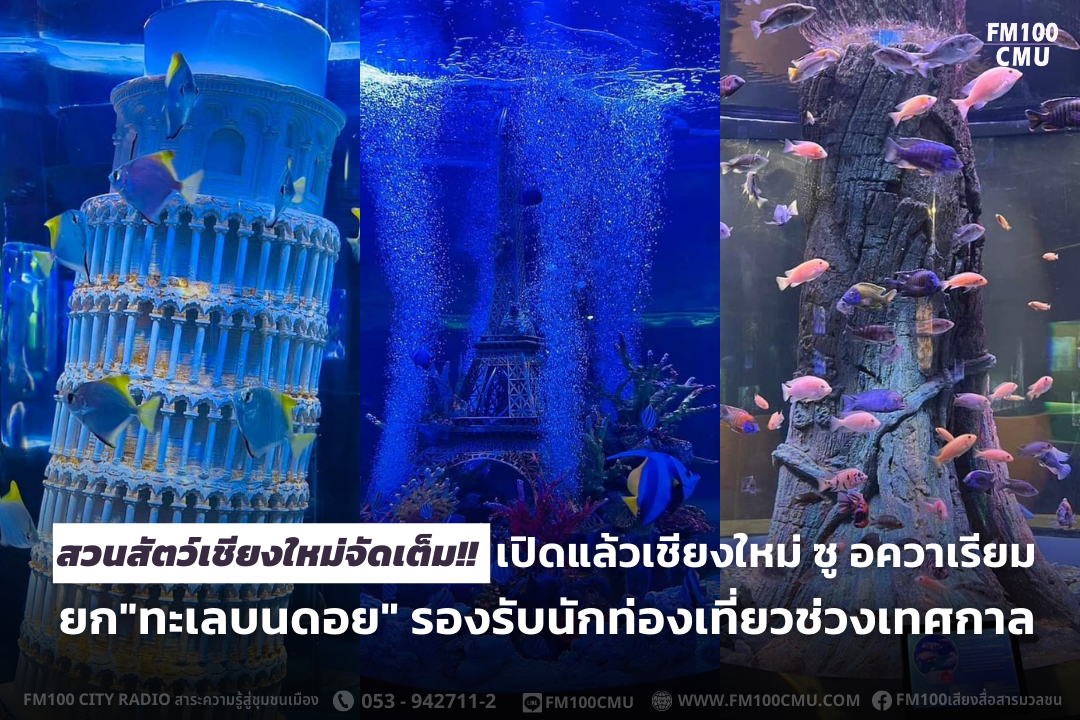 สวนสัตว์เชียงใหม่จัดเต็ม!! เปิดแล้วเชียงใหม่ ซู อควาเรียม ยก สวนสัตว์เชียงใหม่จัดเต็ม!! เปิดแล้วเชียงใหม่ ซู อควาเรียม ยก