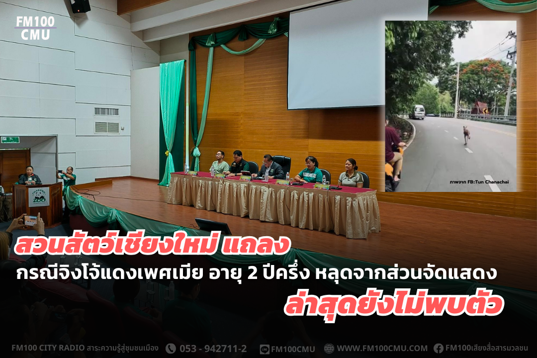 สวนสัตว์เชียงใหม่ แถลงกรณีจิงโจ้แดงเพศเมีย อายุ 2 ปีครึ่ง หลุดจากส่วนจัดแสดง ล่าสุดยังไม่พบตัว สวนสัตว์เชียงใหม่ แถลงกรณีจิงโจ้แดงเพศเมีย อายุ 2 ปีครึ่ง หลุดจากส่วนจัดแสดง ล่าสุดยังไม่พบตัว