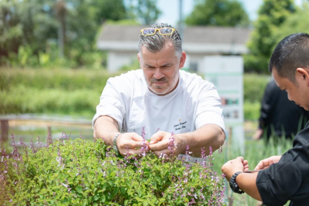 สมาคมผู้บริโภคอินทรีย์ไทย จับมือ ททท. ส่งเสริม “ท่องเที่ยววิถีอินทรีย์ Organic Tourism” ต่อเนื่อง สร้างประสบการณ์การเที่ยวเปลี่ยนแปลงโลก สมาคมผู้บริโภคอินทรีย์ไทย จับมือ ททท. ส่งเสริม “ท่องเที่ยววิถีอินทรีย์ Organic Tourism” ต่อเนื่อง สร้างประสบการณ์การเที่ยวเปลี่ยนแปลงโลก